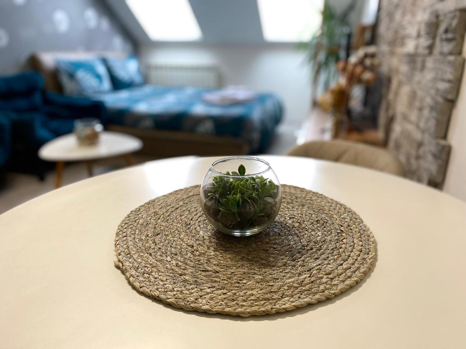 נובי סאד Apartment Centrum - Free Private Parking מראה חיצוני תמונה